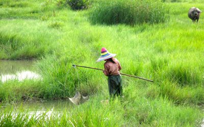 Making the Truth Available